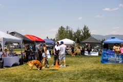 Bark-City-2026-271