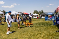 Bark-City-2026-272