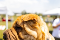 Bark-City-2026-281