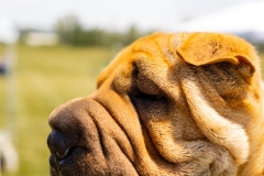 Bark-City-2026-282
