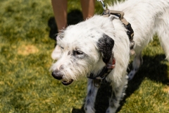Bark-City-2026-284