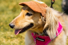 Bark-City-2026-290