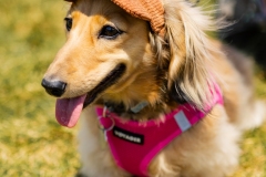 Bark-City-2026-291