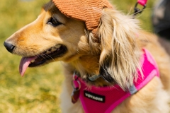 Bark-City-2026-292
