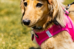 Bark-City-2026-293