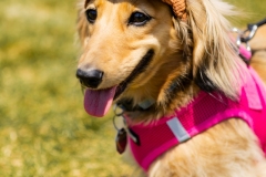 Bark-City-2026-294