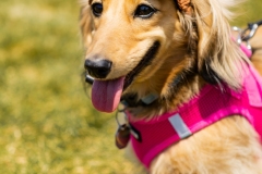Bark-City-2026-295