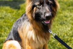 Bark-City-2026-316