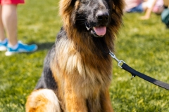 Bark-City-2026-317