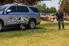 Bark-City-2026-325