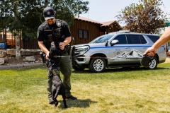 Bark-City-2026-333