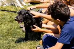 Bark-City-2026-344