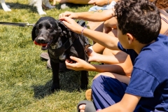Bark-City-2026-345