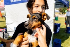 Bark-City-2026-49