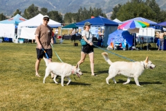 Bark-City-2026-7