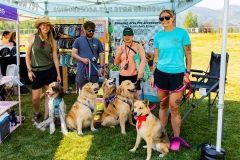 Bark-City-2026-72