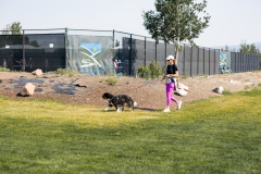 Bark-City-2026-8