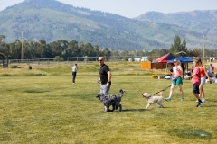 Bark-City-2026-9