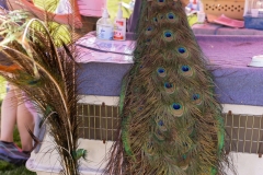 Bark-City-14