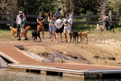 Bark-City-140