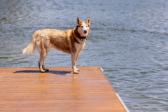 Bark-City-151