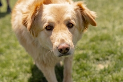 Bark-City-172