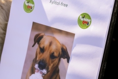 Bark-City-4