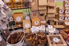 Bark-City-81
